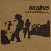 [2003] - Live At Lollapalooza