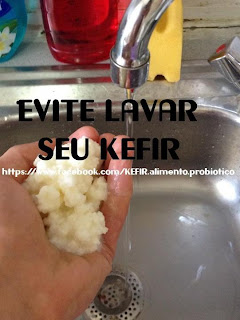 Kefir Alimento Probiótico