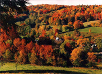 Vermont in Fall