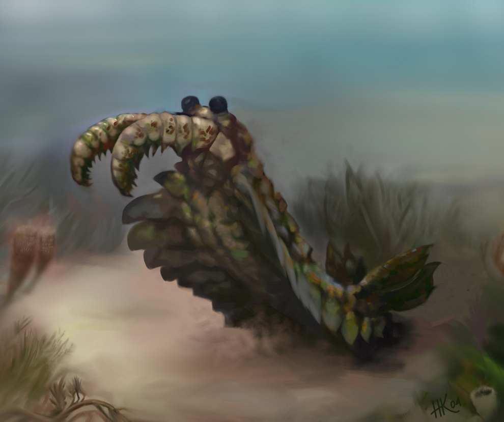 anomalocaris