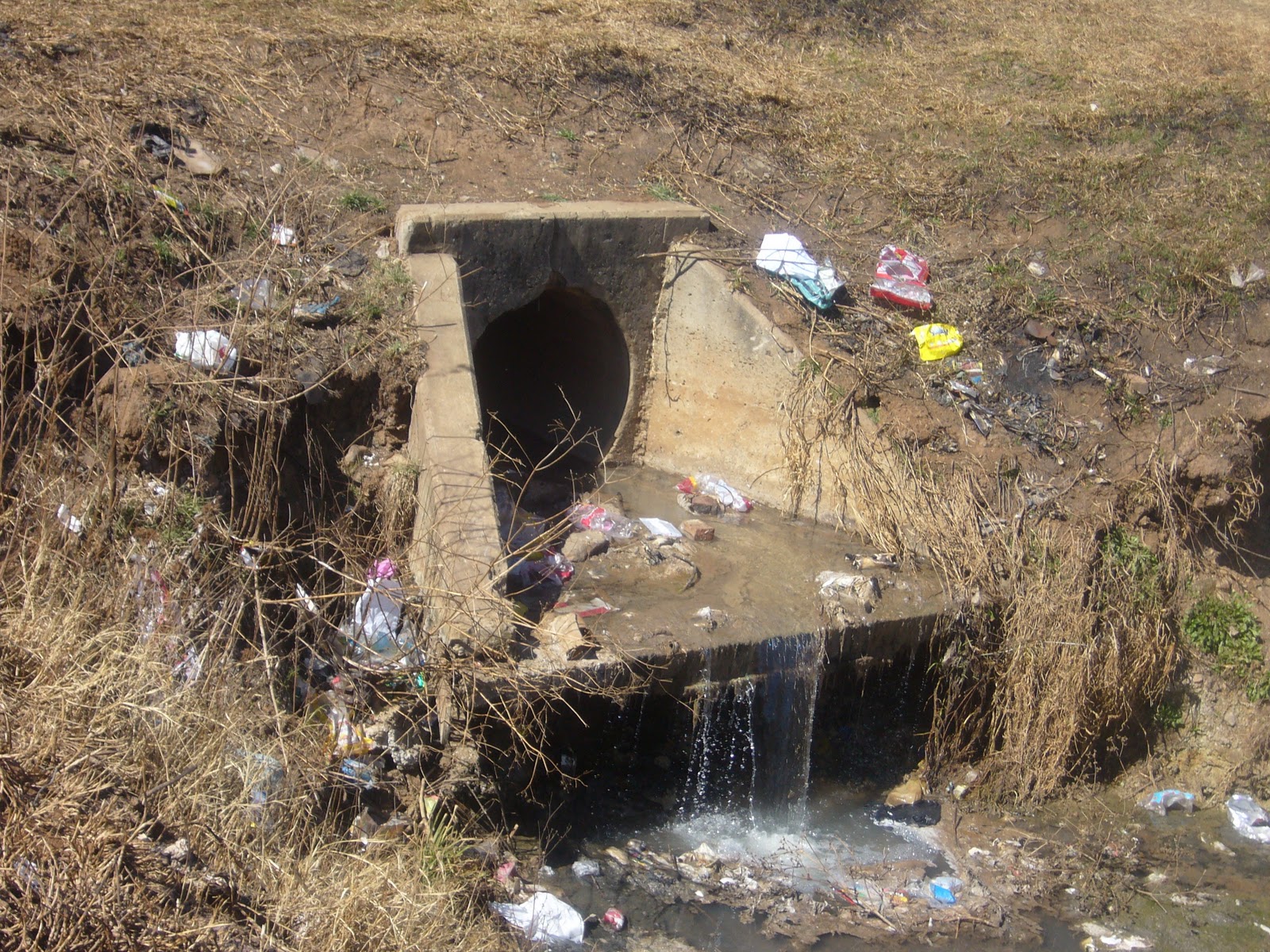 Vaal Environmental Community News Water Catchment Forum and VEJA