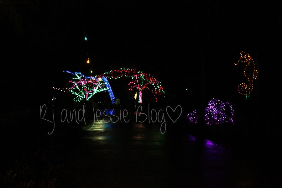 Sunday Snapshot Zoo lights at the Jacksonville zoo