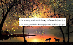 evening silence nature poem sun quotes celebrate night beauty song