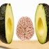 An avocado a day Improves brain function - research reveals