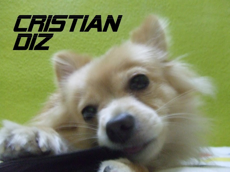 Cristian Diz