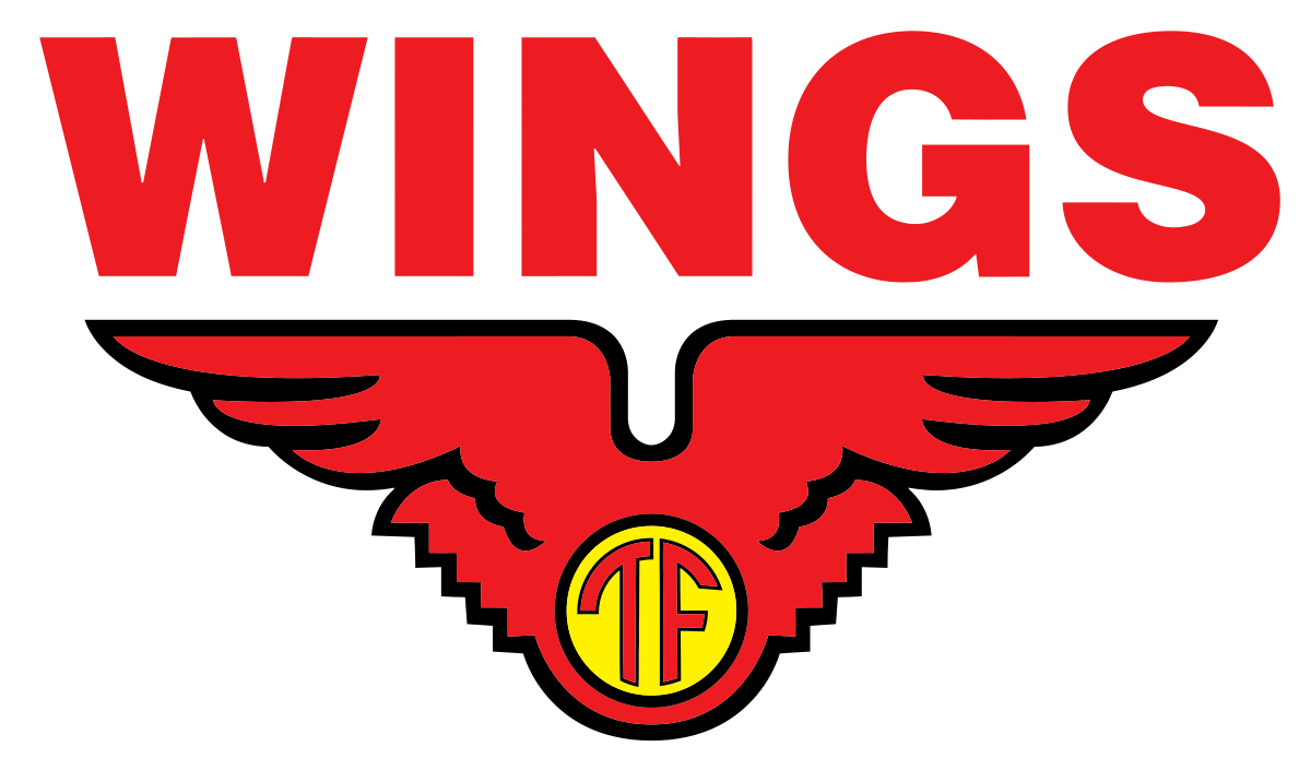 Operator Produksi PT.Lion Wing's (Wing's Group) 2019