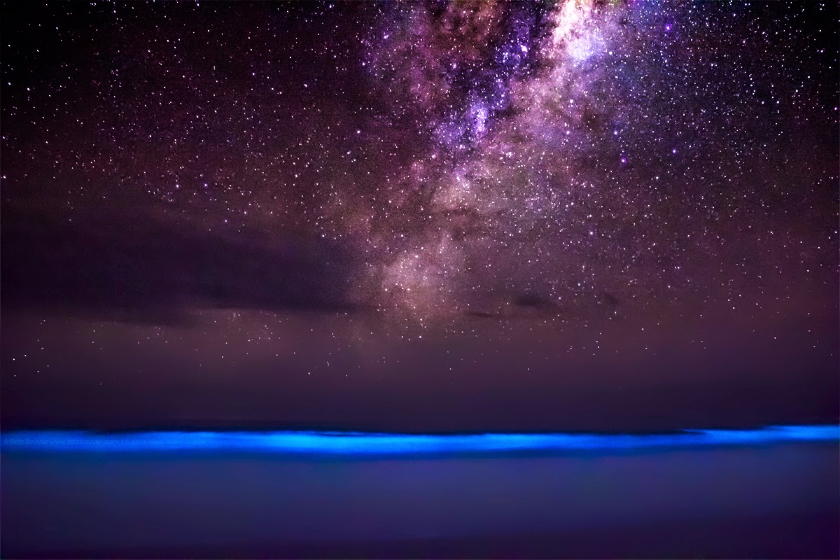 bioluminiscencia+y+via+lactea.jpg