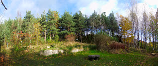 Benwell Nature Park, Newcastle upon Tyne. November 2012