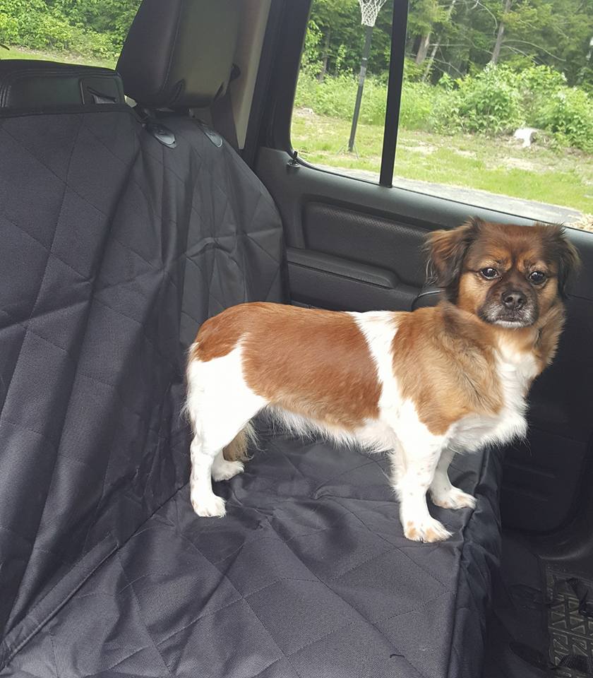 Jinn's Reviews i Dog Luxury Pet Car Seat Cover