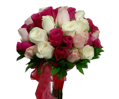 Download Flowers Bunga Kering Aesthetic Png Background
