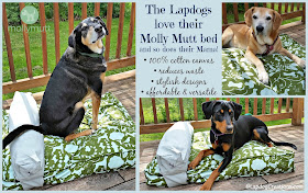 The Lapdogs love their #MollyMutt bed and so does their Mama! Completely washable, affordable, stylish and affordable - what's not to love? #recycle #dogbed #abedoftheirown #rescuedogs #happydogs #LapdogCreations ©LapdogCreations