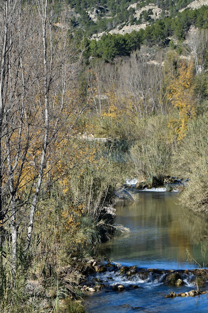 _DSC0901.jpg