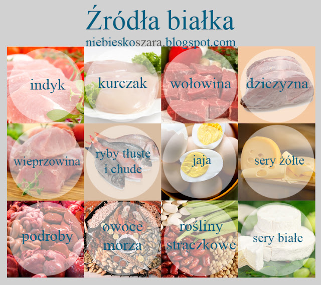 Głównym źródłem Energii Dla Organizmu Są Białka Prawda Czy Fałsz Źródła białka- infografika. - FITlovin - fitblog o ćwiczeniach