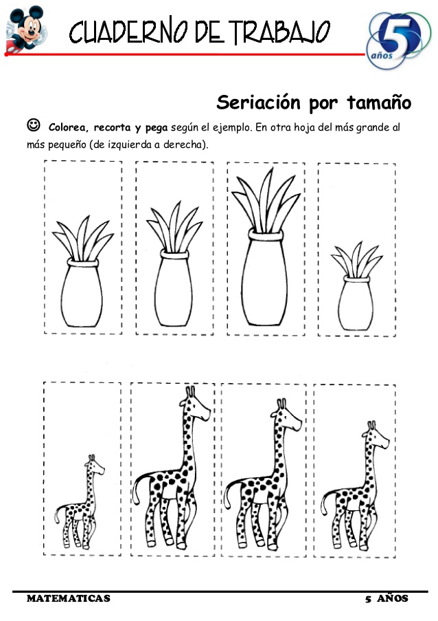 ACTIVIDADES GRUPALES: MAESTRA SANDY