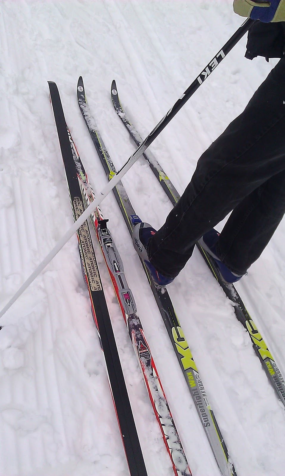 Rants Furry Skis? The verdict on skinskis (felleski)