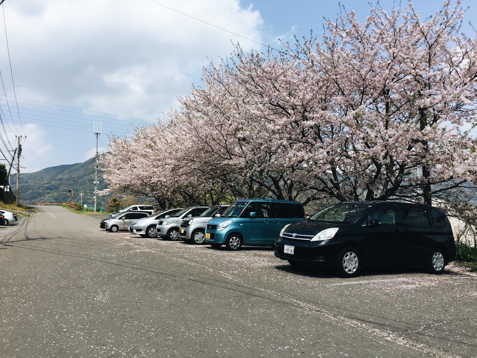 Sakura 2017: Here and There in Sasebo – Eustea Reads