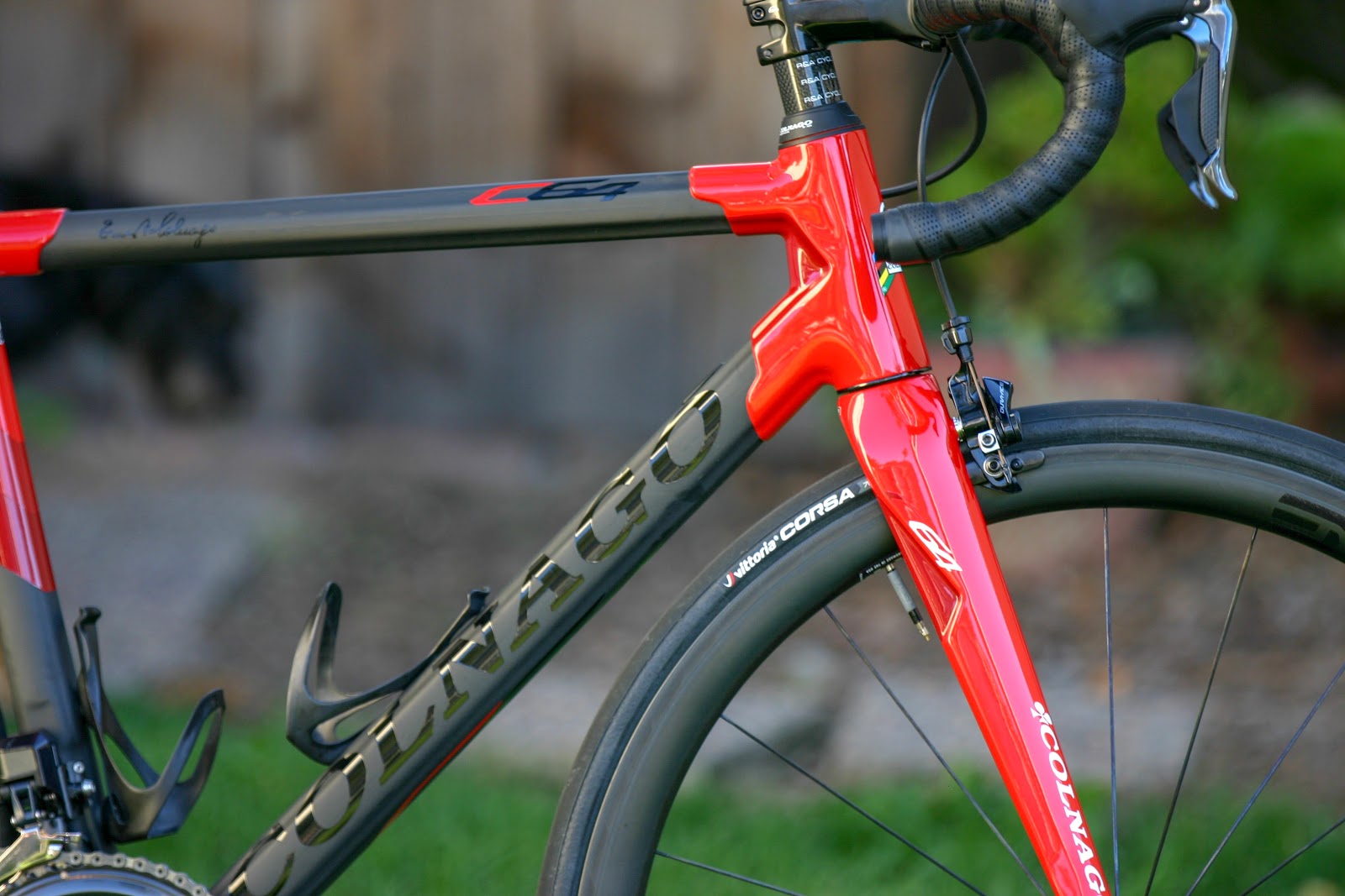 blue colnago state park