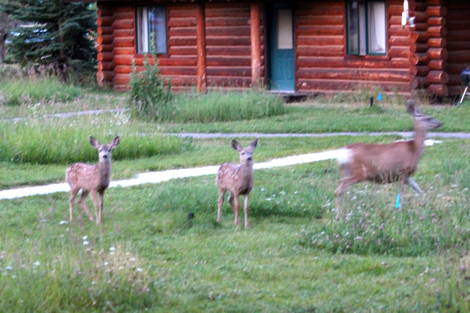 If I Were Going Grand Teton