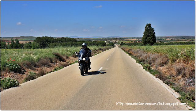 honda cbf600sa rodando