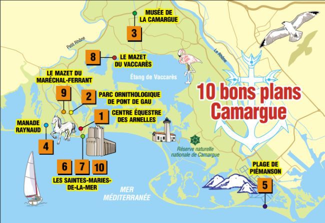 Les bons plans pour s'évader en Camargue