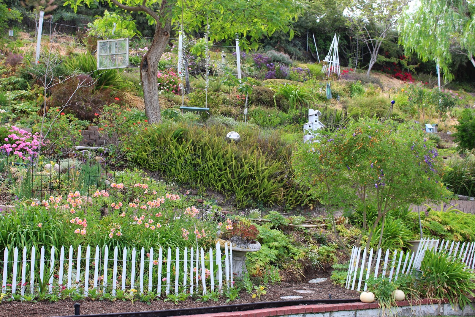 Rooted In Thyme Rooted in Thyme Gardens and Simple & Sweet Fridays 114