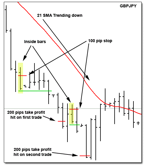 Forex wealth