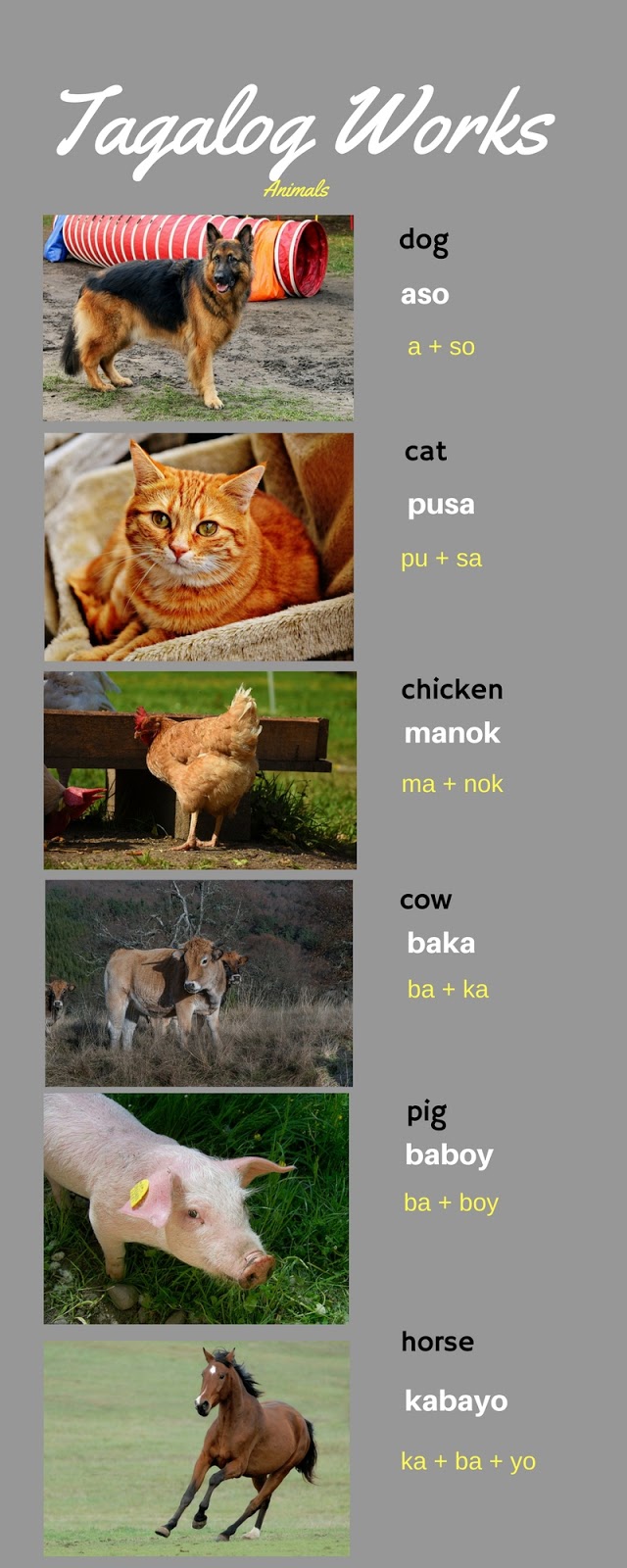 Animals in Tagalog