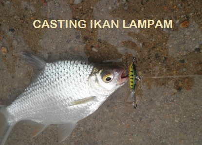 Mbah Info Lampam Sungai Teknik Memancing