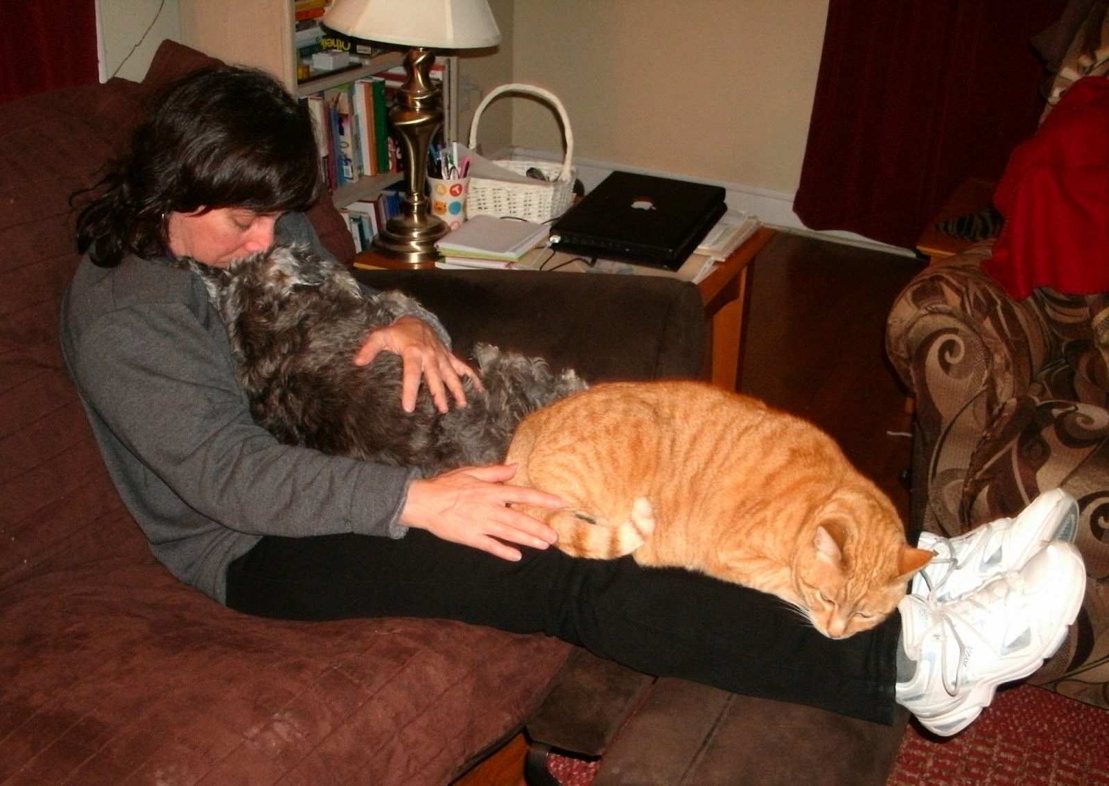 The Very Best Cats Covered in Fur