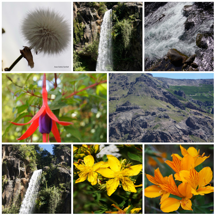 fotos de la cordillera