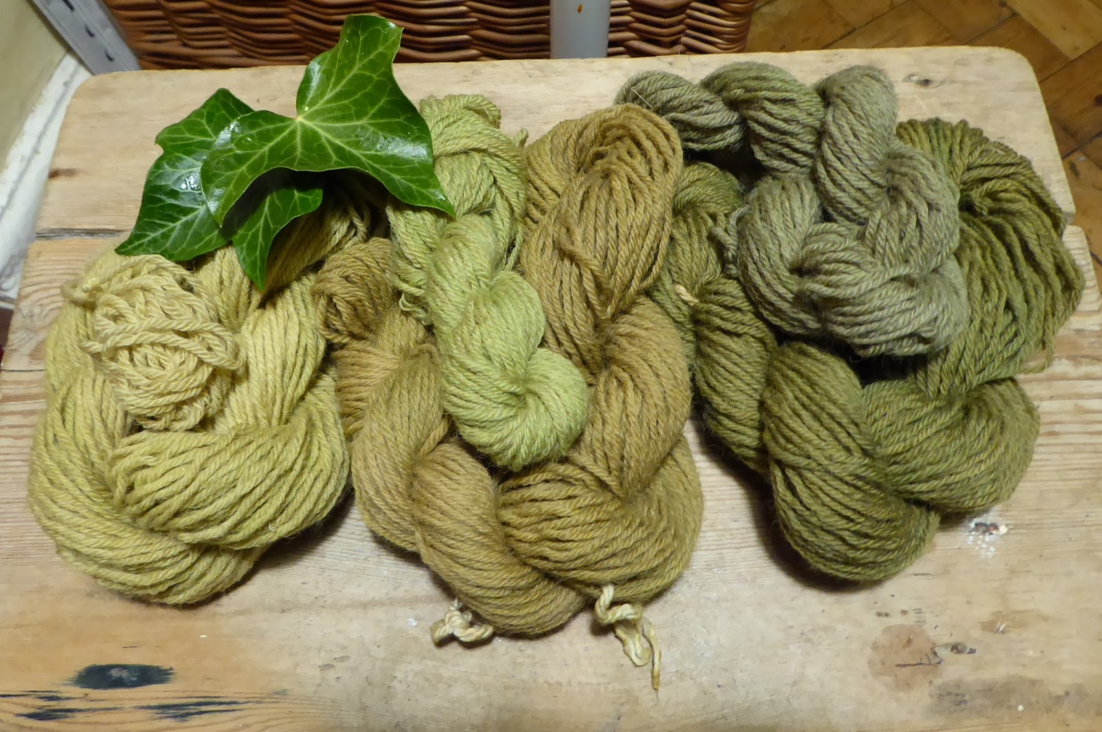 Wool Tribulations of Hand Spinning and Herbal Dyeing A Trial of Ivy