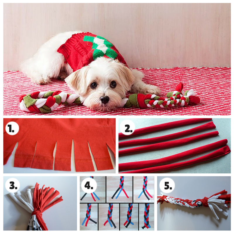 Do It Yourself Blog DIY Ideas Easy DIY Dog Projects