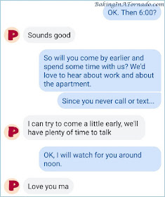 Screenshot of a conversation from A Bird, A Plane, Fly on the Wall | Picture property of www.BakingInATornado.com | #parenting