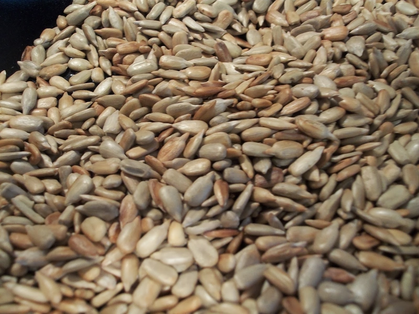 Place all ingredients, including the sunflower seeds in a food processor.