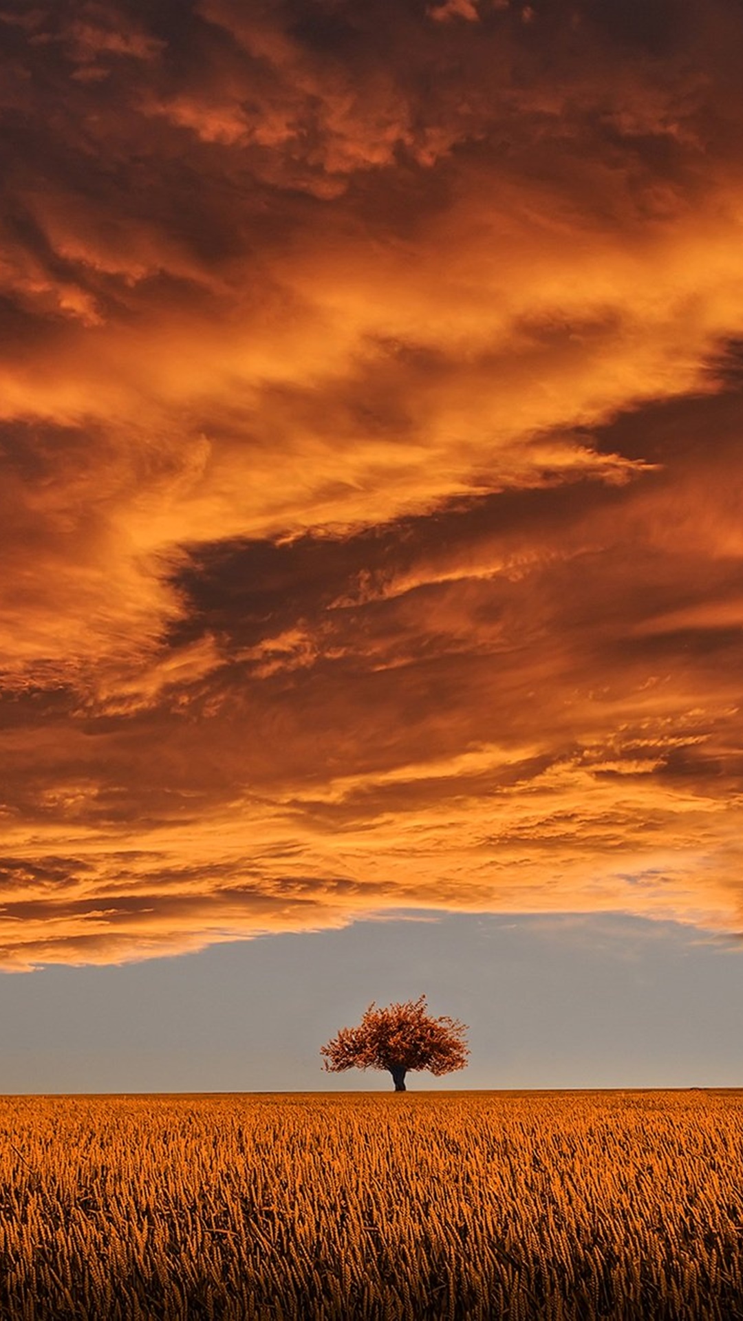 9 wallpapers for mobile in 1080p