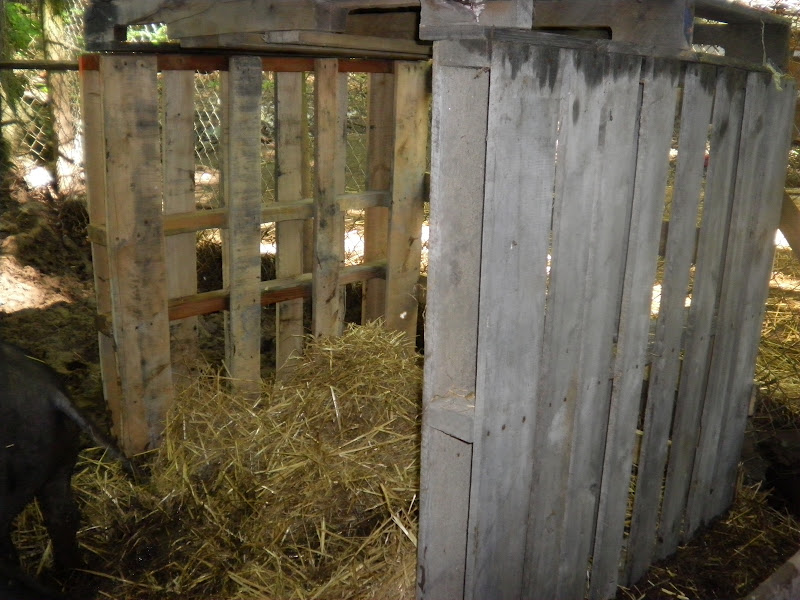 Simply Self Sufficiency Pallet Pig House