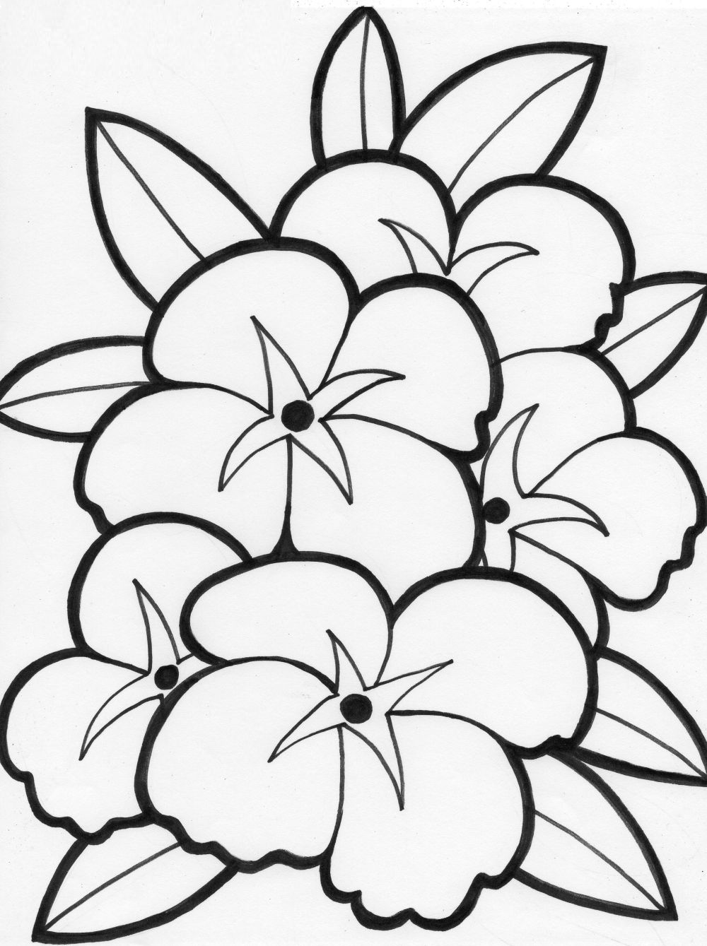 free-flower-coloring-pages-flower-coloring-page