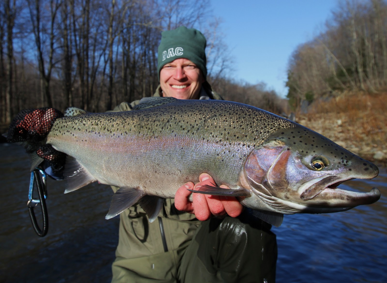 Steelhead Alley Outfitters Lake Erie Fly Fishing Guide Service and