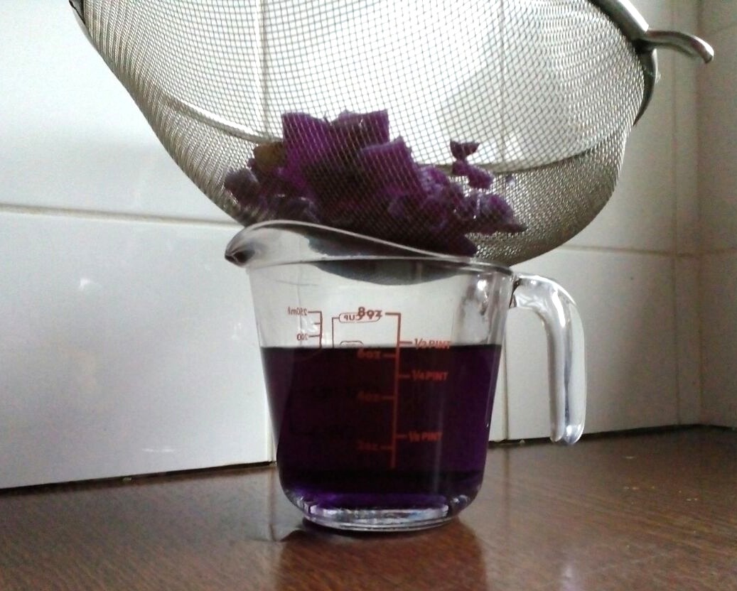 a muslim homeschool Testing for Acids and Alkali with cabbage water
