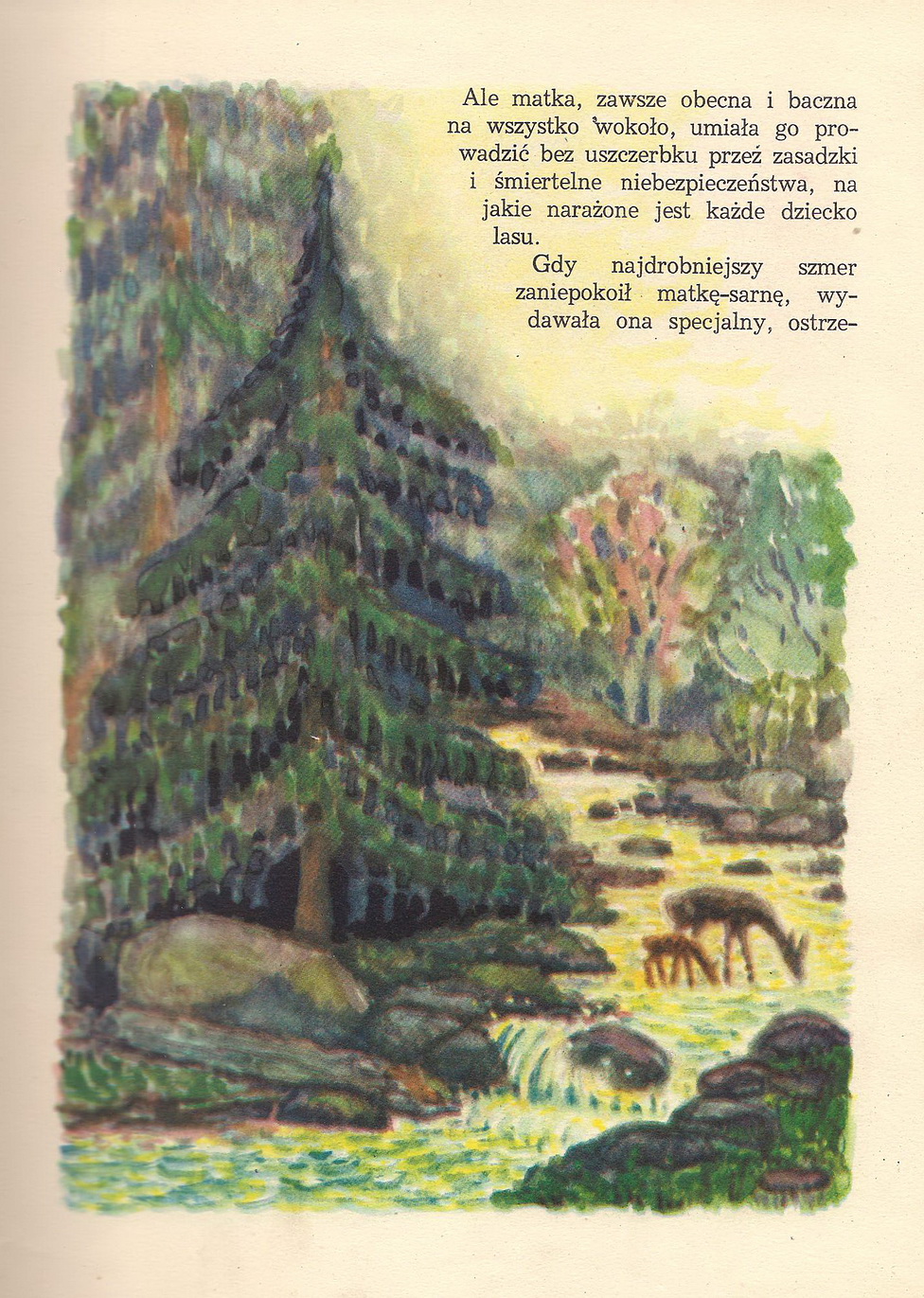 Garaż ilustracji książkowych: Rogaś z doliny Roztoki - Witold Chomicz - 1
