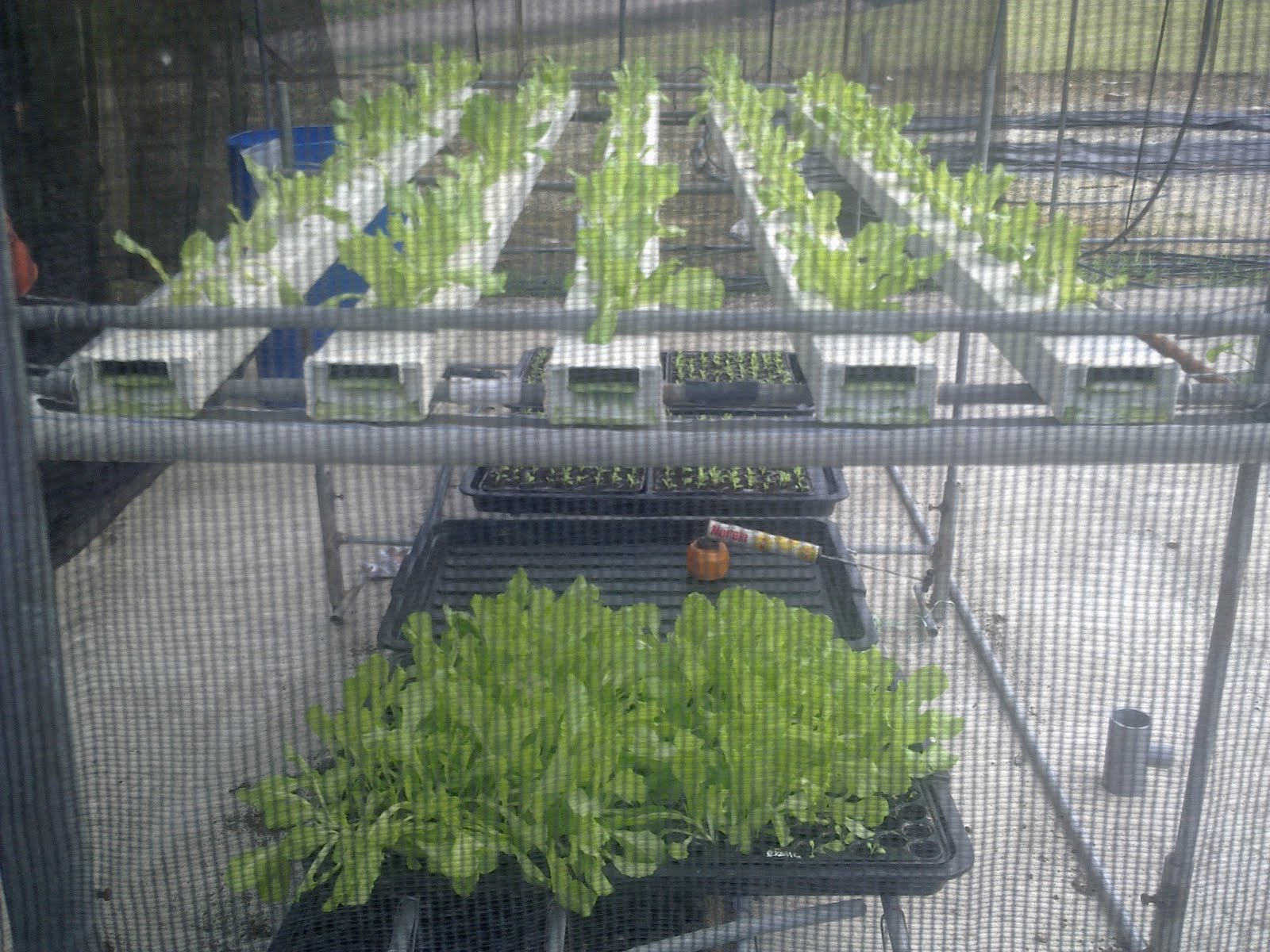 Mengenal Hidroponik Sistem Nft 3 Tingkat untuk Hasil Optimal Mengenal Hidroponik Sistem Nft 3 Tingkat untuk Hasil Optimal