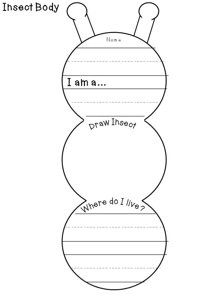 Kindergarten Schmindergarten: Insects Continued and another Freebie!