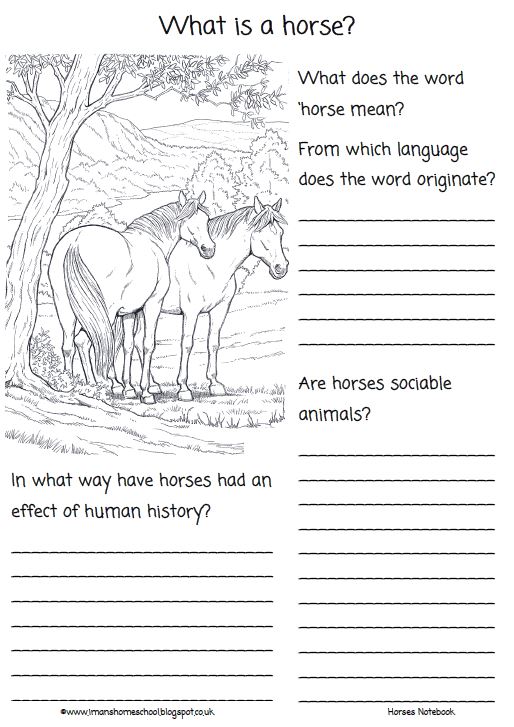 Iman's Home-School: Horses Notebook & Activity Pack