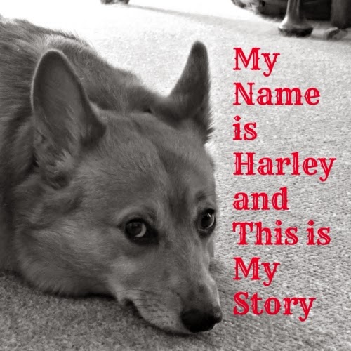 Harley's Book