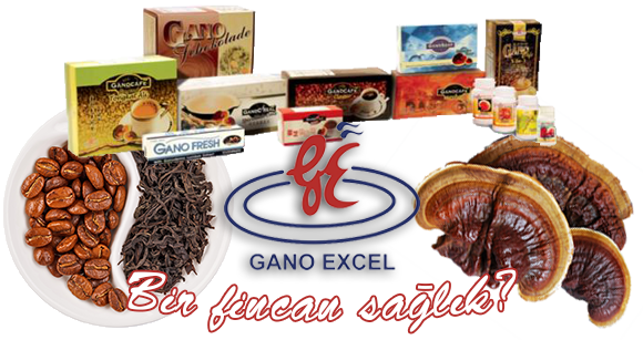 Gano Excel Erzurum Şubat 2016