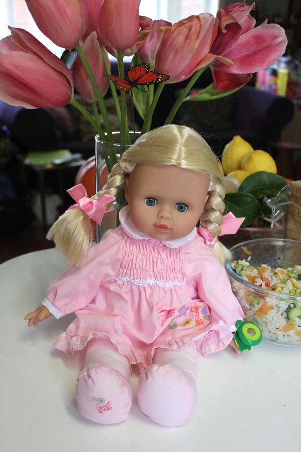 Green Gourmet Giraffe Miso soup, sushi salad and new dolly