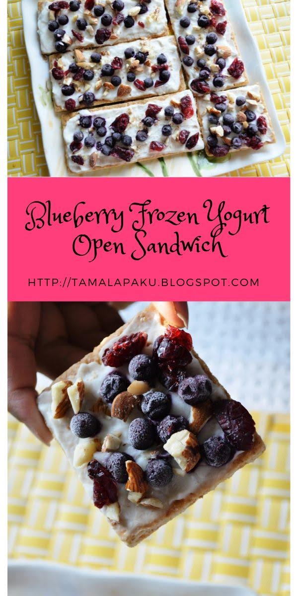 Blueberry Frozen Yogurt Open Sandwich Tamalapaku