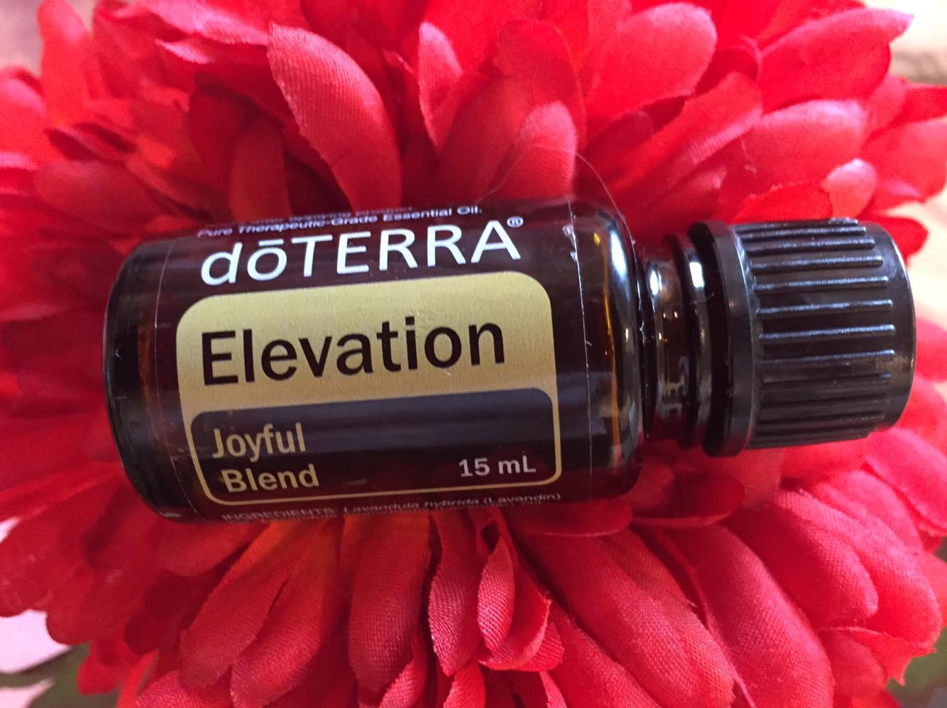 Essential Devotion "Back to Basics" Top Ten doTERRA Oil Blends