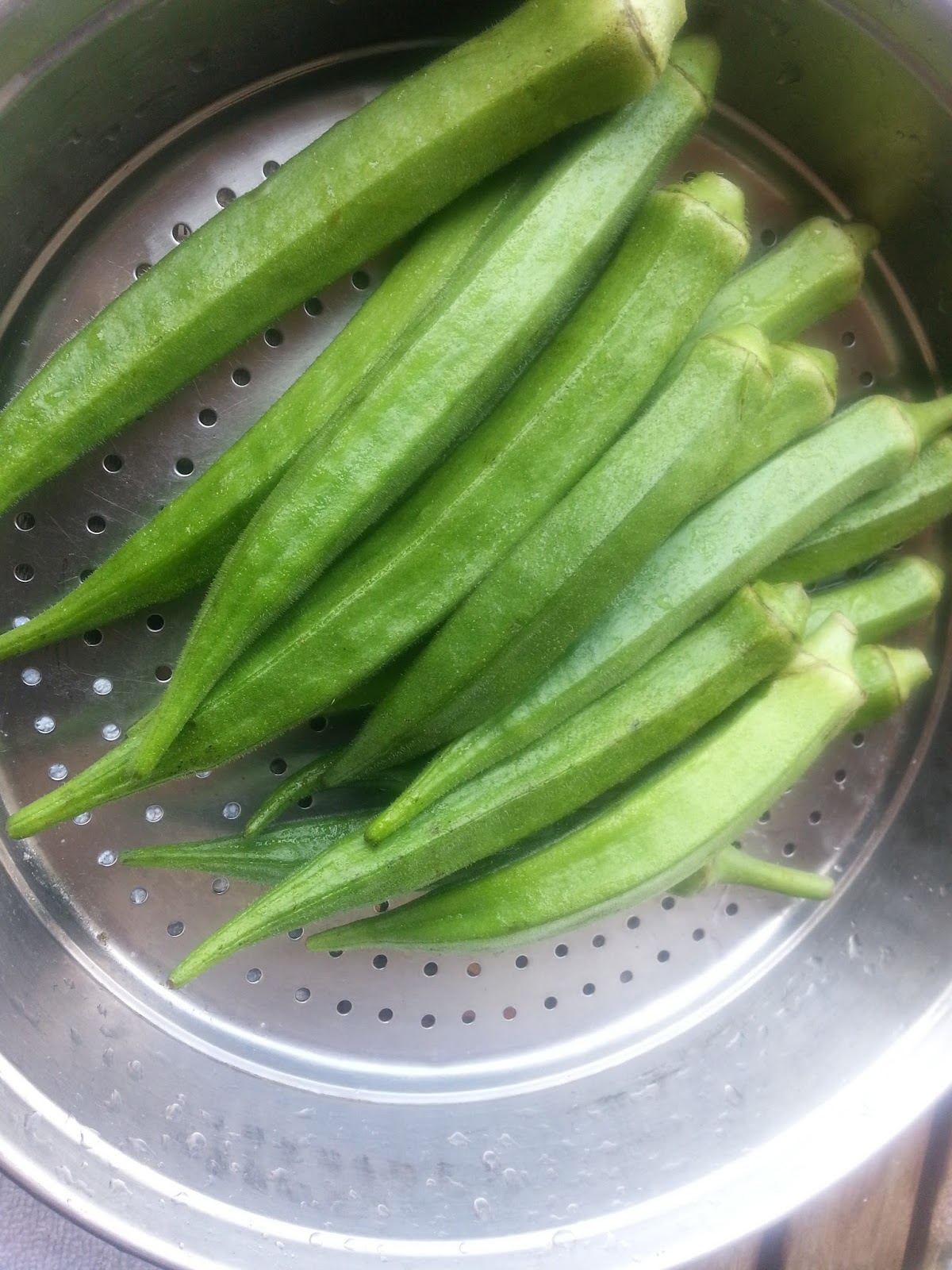 Annapurna Microwave Bharwa Bhindi / Stuffed Okra Recipe