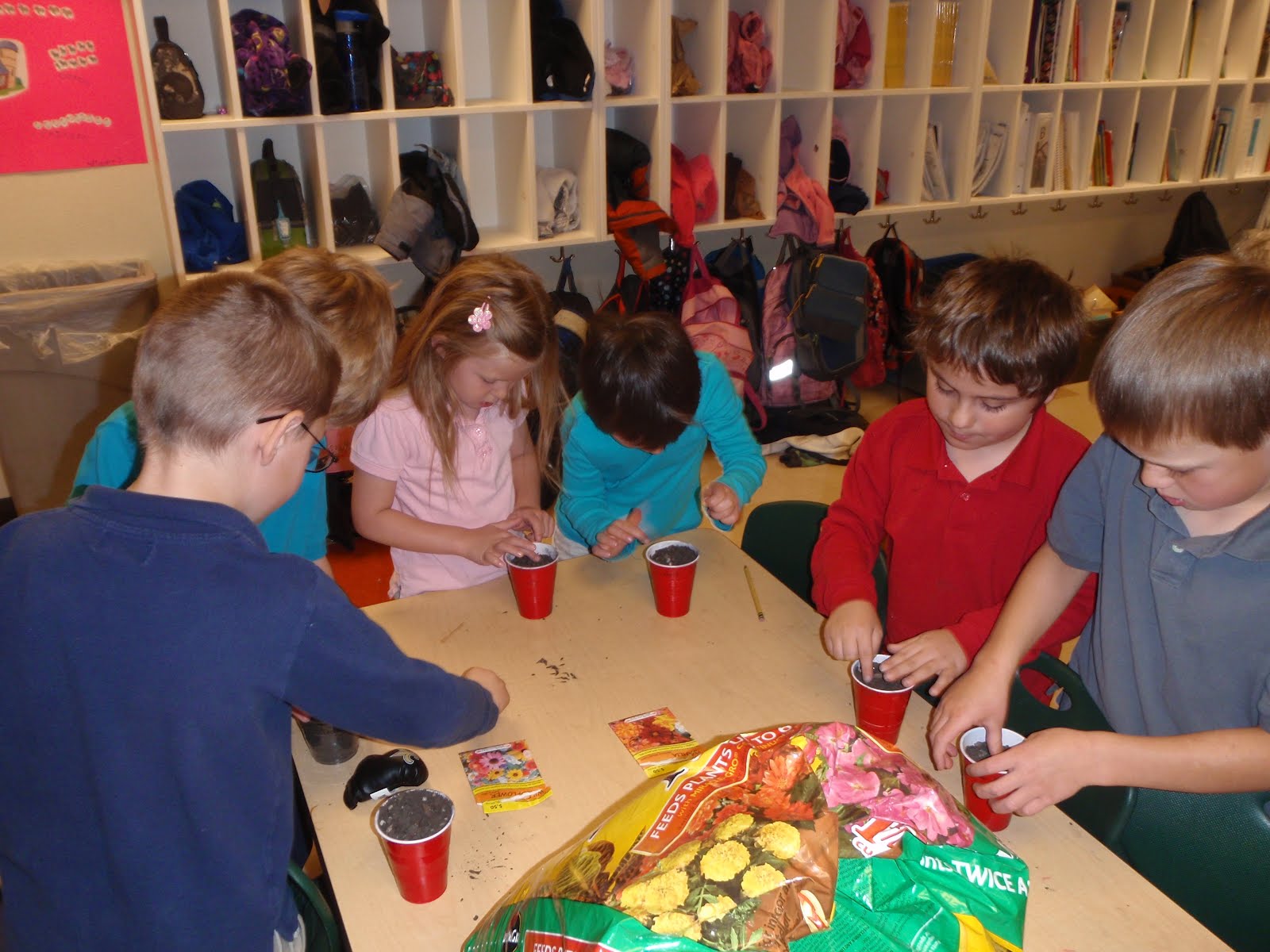 We love kindergarten!: Planting Seeds